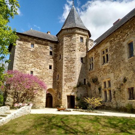 Faye-d'Anjou Chateau De Chanze المظهر الخارجي الصورة