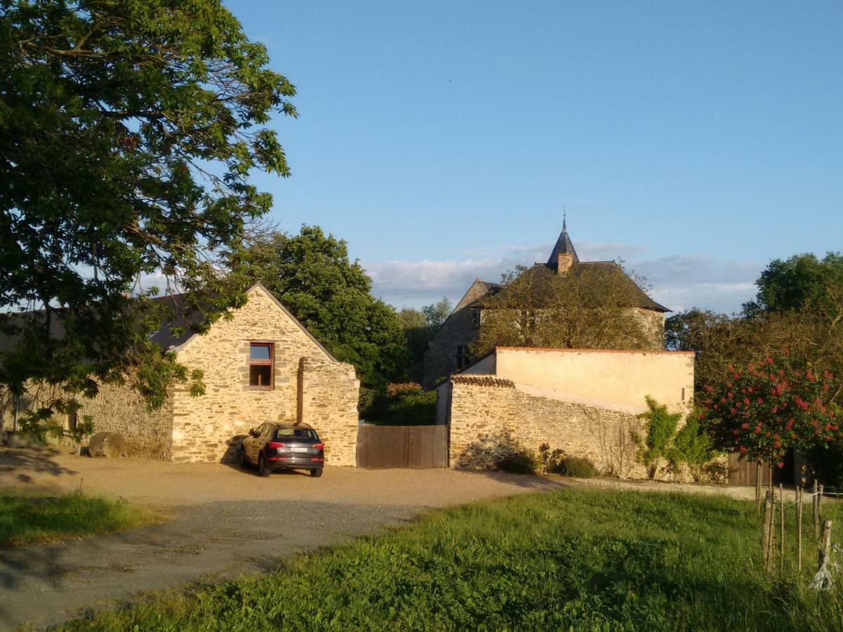 Faye-d'Anjou Chateau De Chanze المظهر الخارجي الصورة