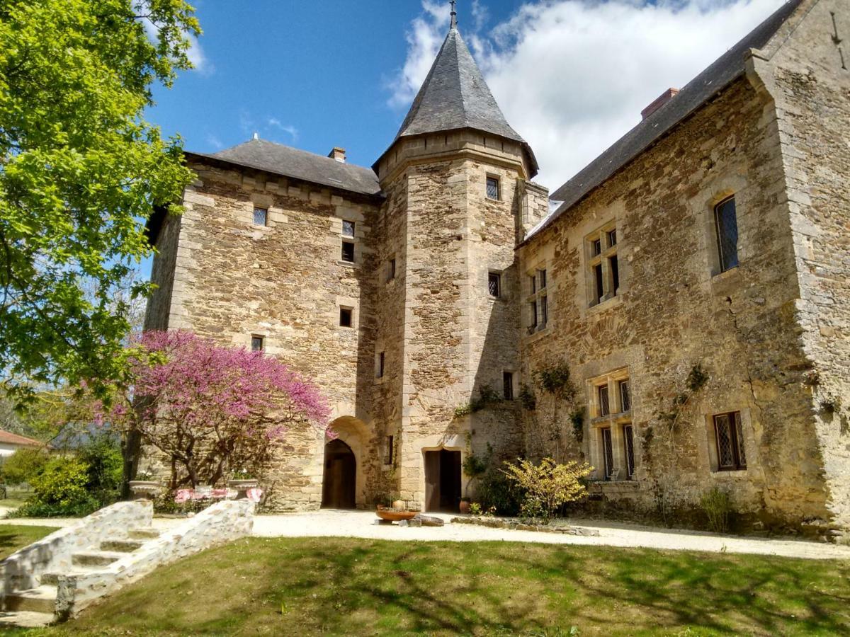 Faye-d'Anjou Chateau De Chanze المظهر الخارجي الصورة