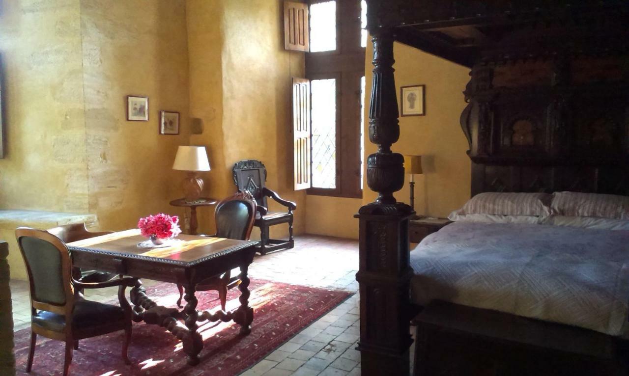 Faye-d'Anjou Chateau De Chanze المظهر الخارجي الصورة